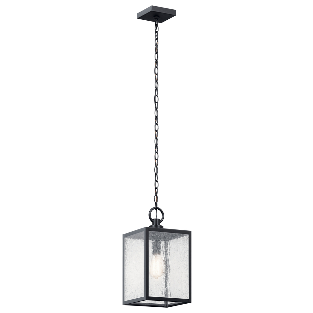 Outdoor Pendant / Semi Flush 1Lt