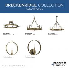 PROG_BRECKENRIDGE_COLLECTION_AGED_BRONZE_GeneralLit.jpg