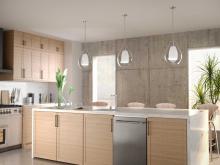 PROG_Carillon_Modern_Kitchen_P500439-009_3D_appshot.jpg