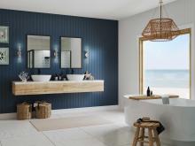 PROG_Coastal_Bathroom_P710115-009_3D_appshot.jpg