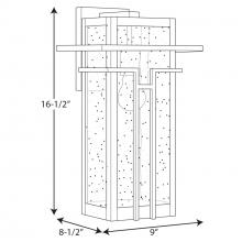 PROG_P560112-020dimensions_lineart.jpg