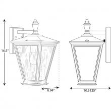 PROG_P560167dimensions_lineart.jpg