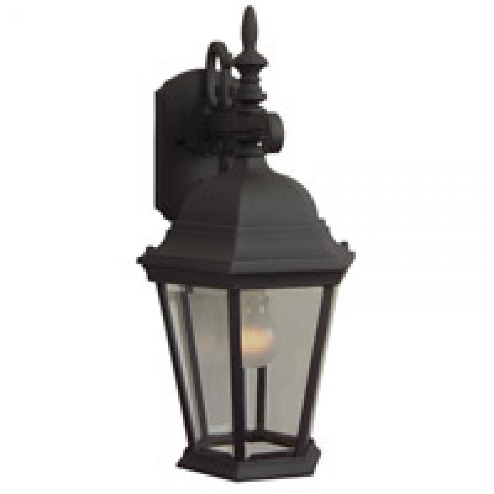 Straight Glass Cast 1 Light Medium Outdoor Wall Lantern in Textured Black