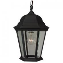 Craftmade Z251-TB - Straight Glass Cast 1 Light Outdoor Pendant in Textured Black