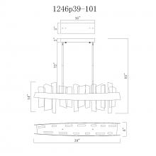 CWI-1246P39-101-31.jpg