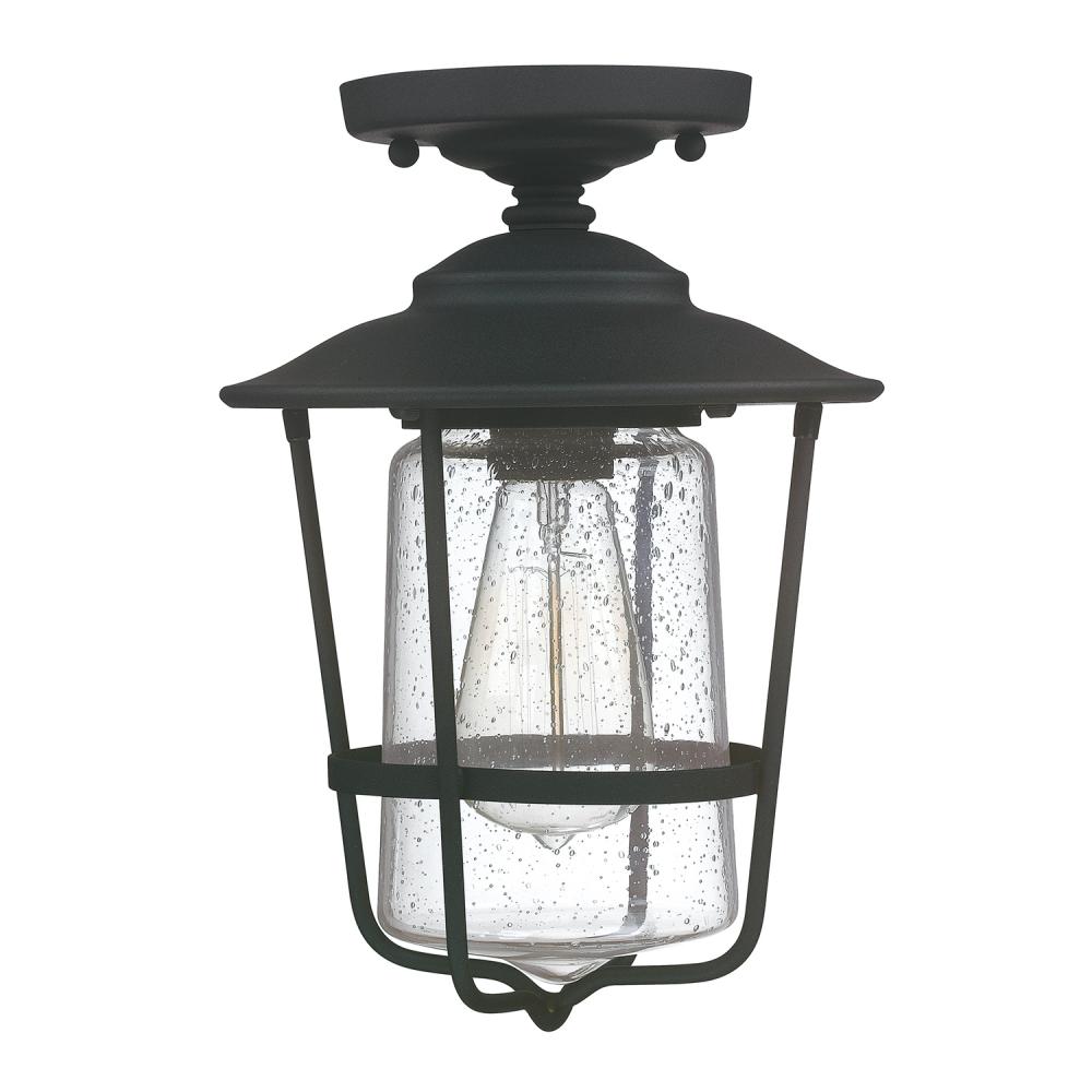 1 Light Outdoor Flush Mount