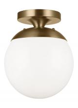  7518-848 - Leo - Hanging Globe One Light Wall / Ceiling Semi-Flush Mount